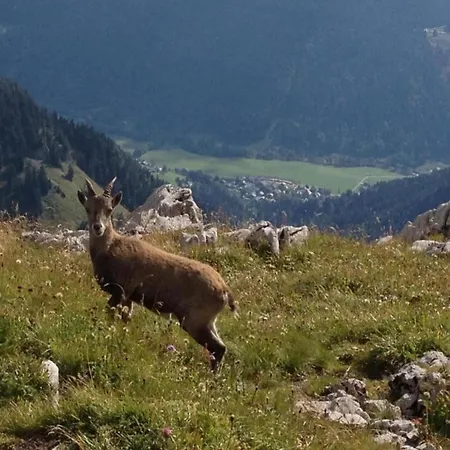 Splendida Isolata Con Piscina Biot